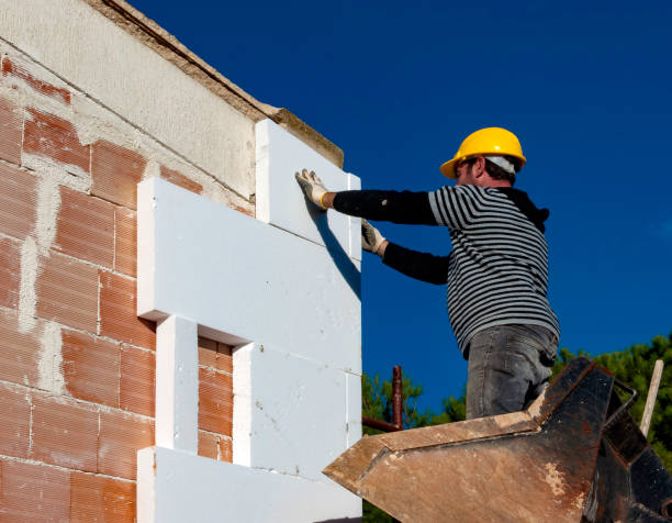 Best Insulation Maintenance and Repair in Pittsburg, TX