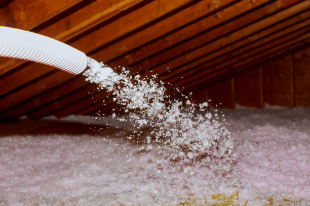 Best Specialty Insulation in Pittsburg, TX