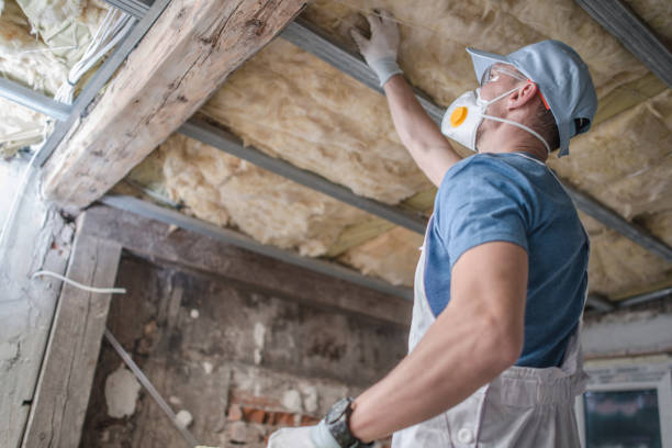 Best Insulation for Specific Applications in Pittsburg, TX