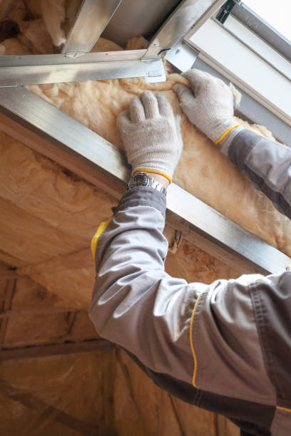 Best Residential Insulation in Pittsburg, TX