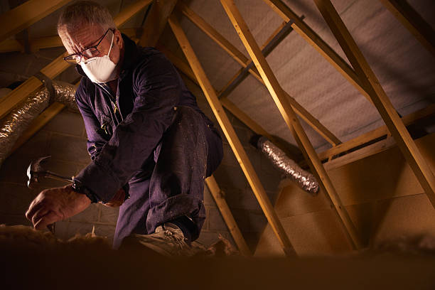 Best Energy Efficiency Solutions in Pittsburg, TX